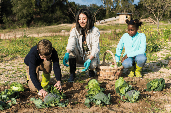 Setting up a nonprofit organization
